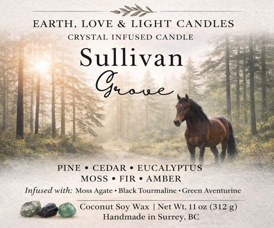 A - Signature Line Intention Candles 11oz