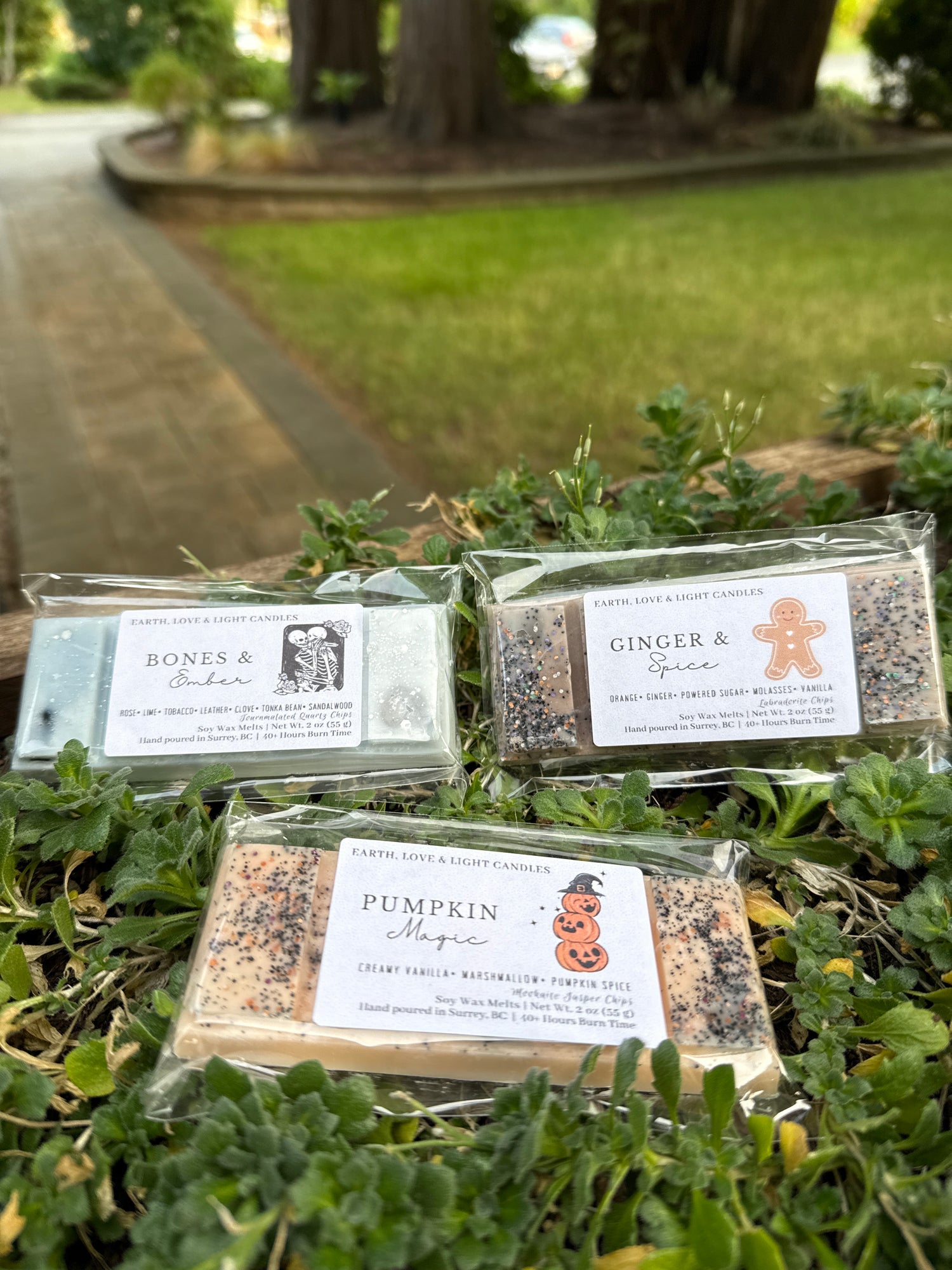 Seasonal Wax Melts