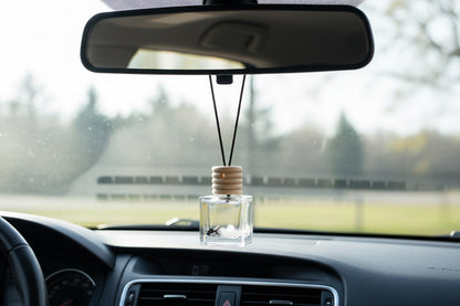 Blue Lagoon Car Diffusers (NEW)