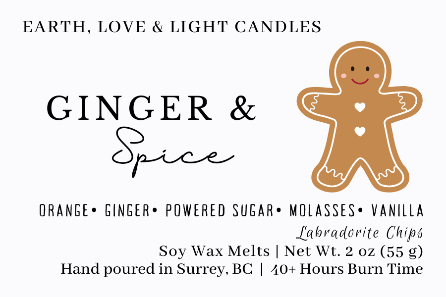Ginger & Spice Wax Melt