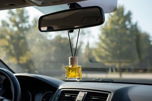 Twisted Citrus  Car Diffusers