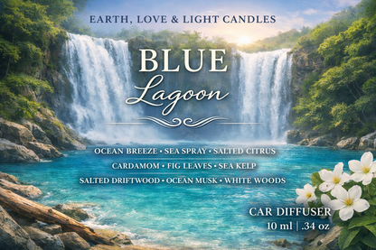 Blue Lagoon Car Diffusers (NEW)